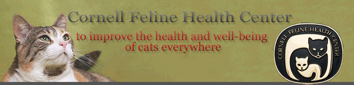 cornell feline health center banner